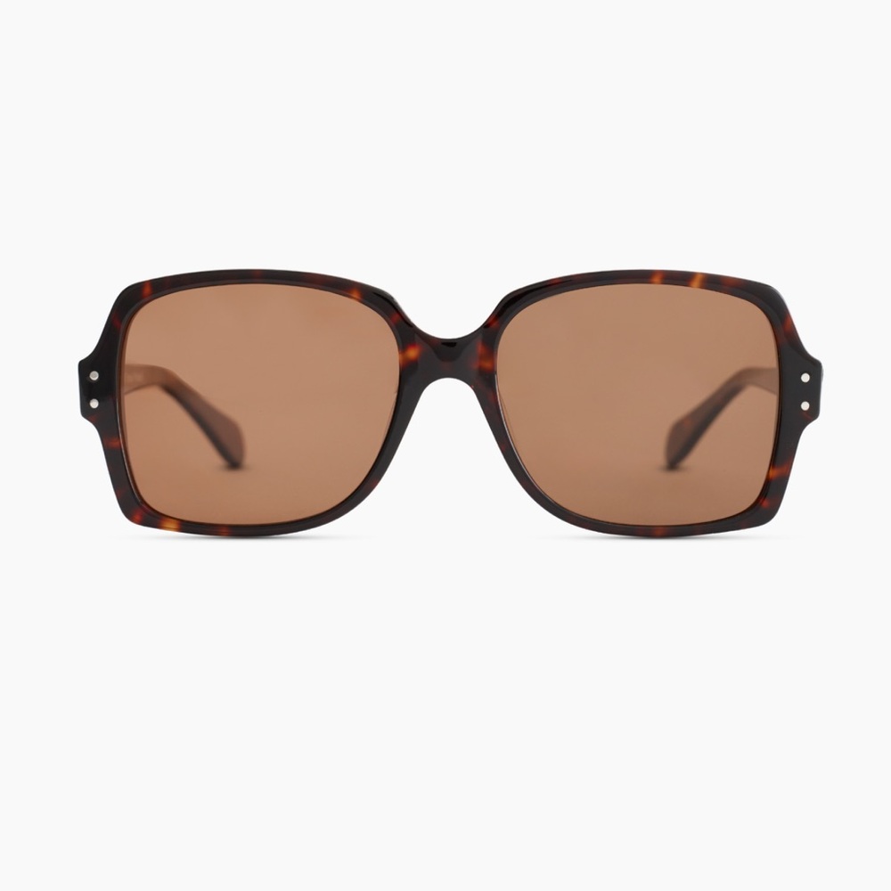 Quince Tortoise Shell Oversized Polarized Sunglasses